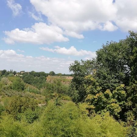 Apartmán Nel Chianti Lungo La Francigena Colle Val D'Elsa Exteriér fotografie