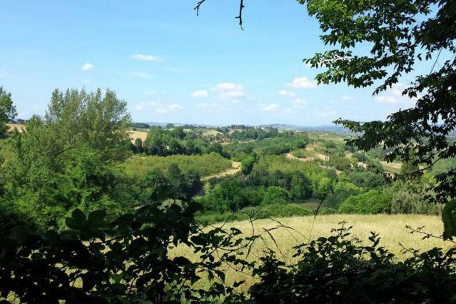 Apartmán Nel Chianti Lungo La Francigena Colle Val D'Elsa Exteriér fotografie