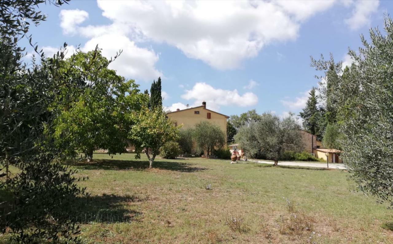 Apartmán Nel Chianti Lungo La Francigena Colle Val D'Elsa Exteriér fotografie