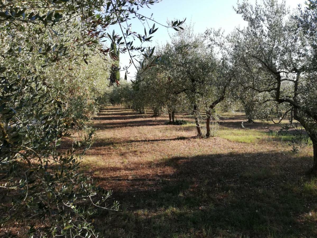 Apartmán Nel Chianti Lungo La Francigena Colle Val D'Elsa Exteriér fotografie