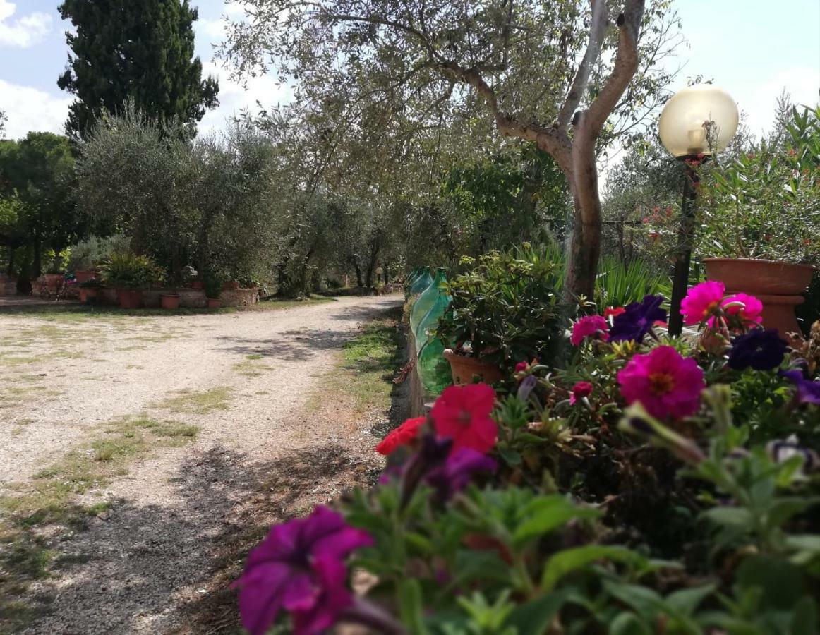 Apartmán Nel Chianti Lungo La Francigena Colle Val D'Elsa Exteriér fotografie