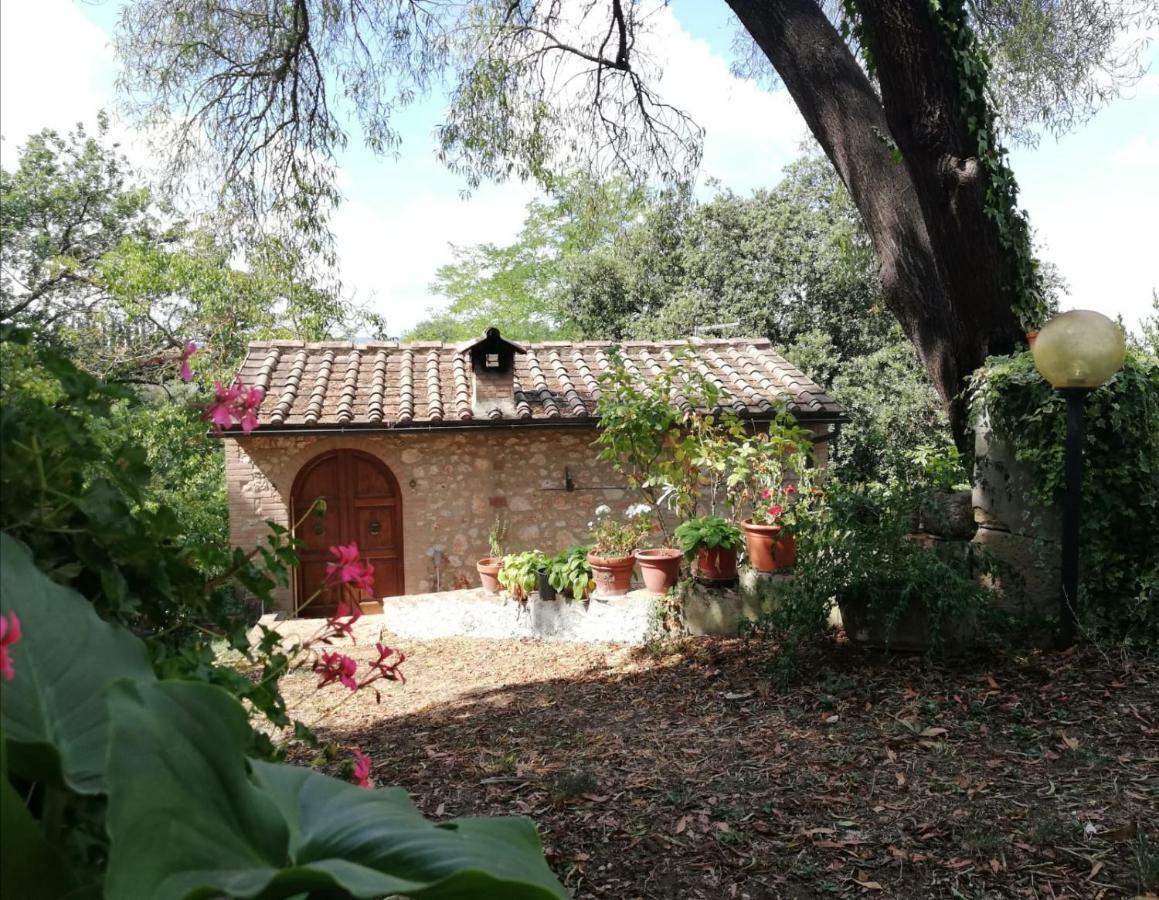 Apartmán Nel Chianti Lungo La Francigena Colle Val D'Elsa Exteriér fotografie