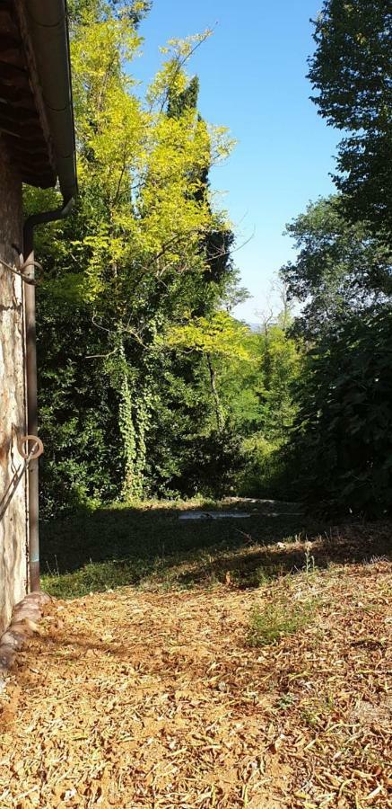 Apartmán Nel Chianti Lungo La Francigena Colle Val D'Elsa Exteriér fotografie