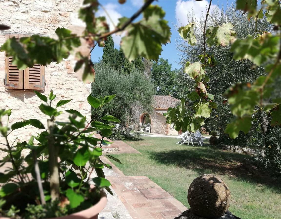 Apartmán Nel Chianti Lungo La Francigena Colle Val D'Elsa Exteriér fotografie
