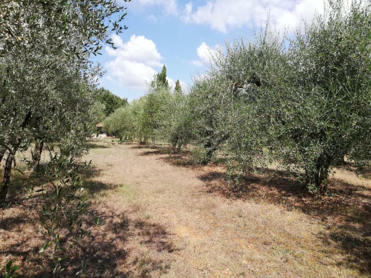 Apartmán Nel Chianti Lungo La Francigena Colle Val D'Elsa Exteriér fotografie