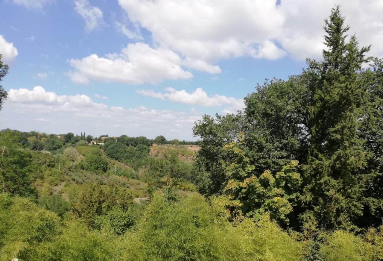 Apartmán Nel Chianti Lungo La Francigena Colle Val D'Elsa Exteriér fotografie