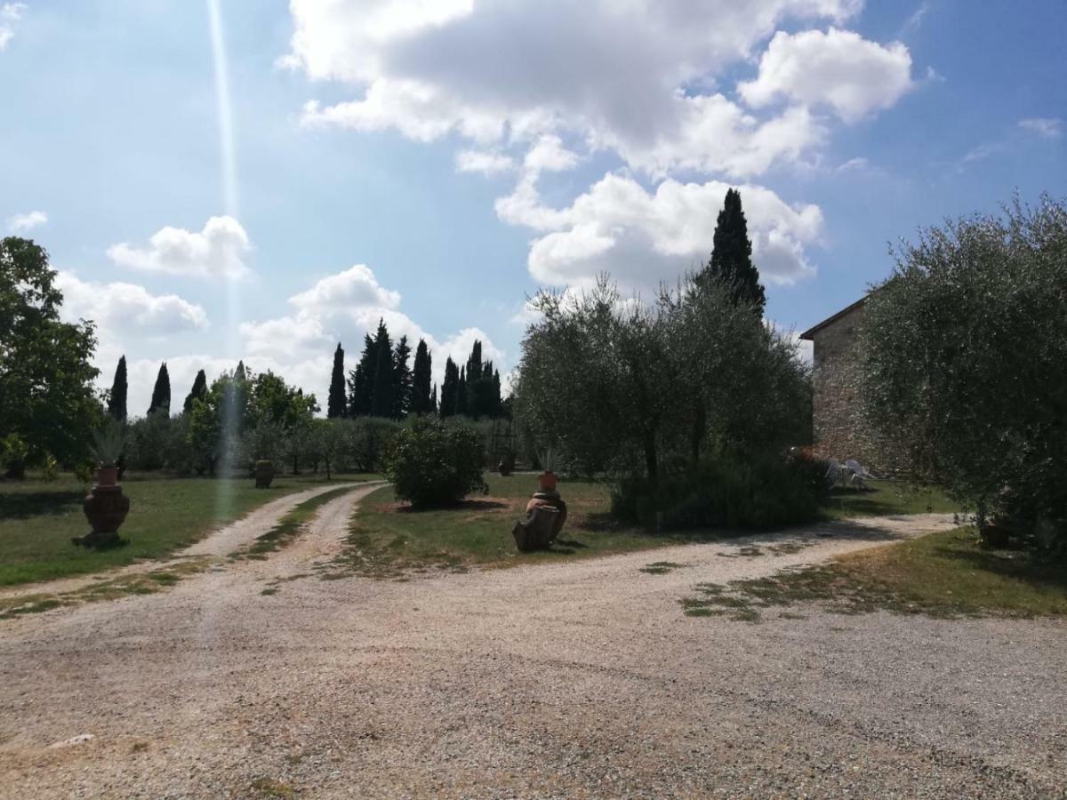 Apartmán Nel Chianti Lungo La Francigena Colle Val D'Elsa Exteriér fotografie