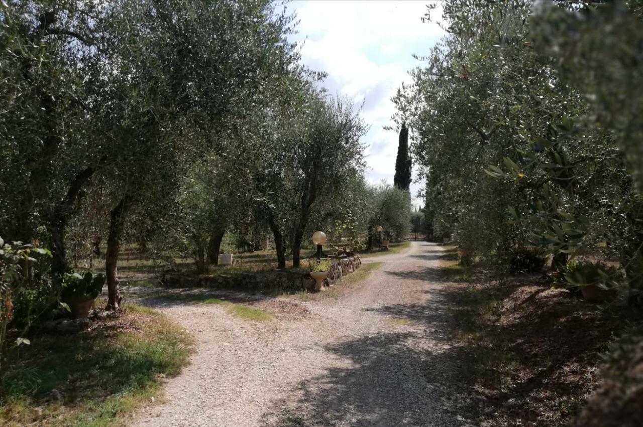 Apartmán Nel Chianti Lungo La Francigena Colle Val D'Elsa Exteriér fotografie