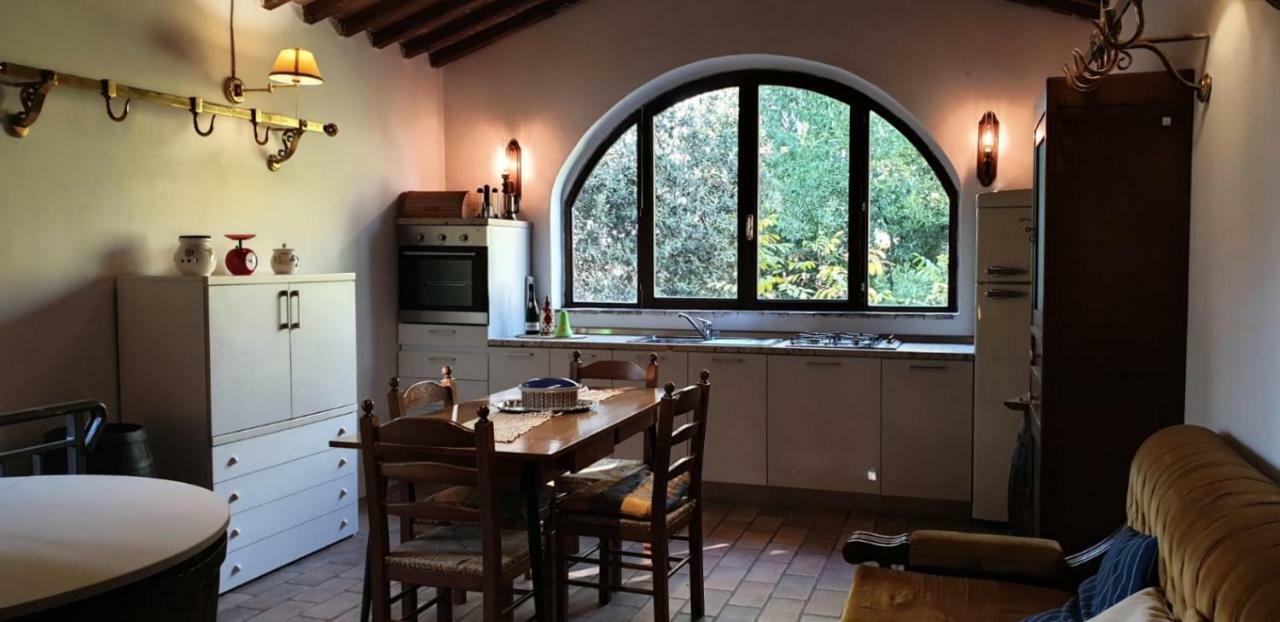 Apartmán Nel Chianti Lungo La Francigena Colle Val D'Elsa Exteriér fotografie
